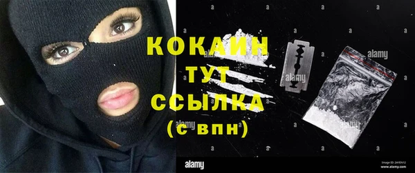 спиды Инсар
