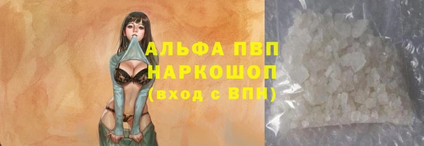 герыч Иннополис