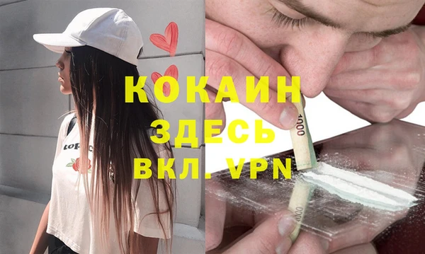 трава Инта