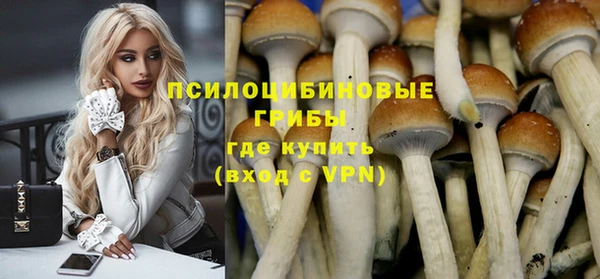 спиды Инсар