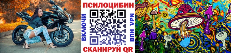 Галлюциногенные грибы прущие грибы Купить где Вичуга